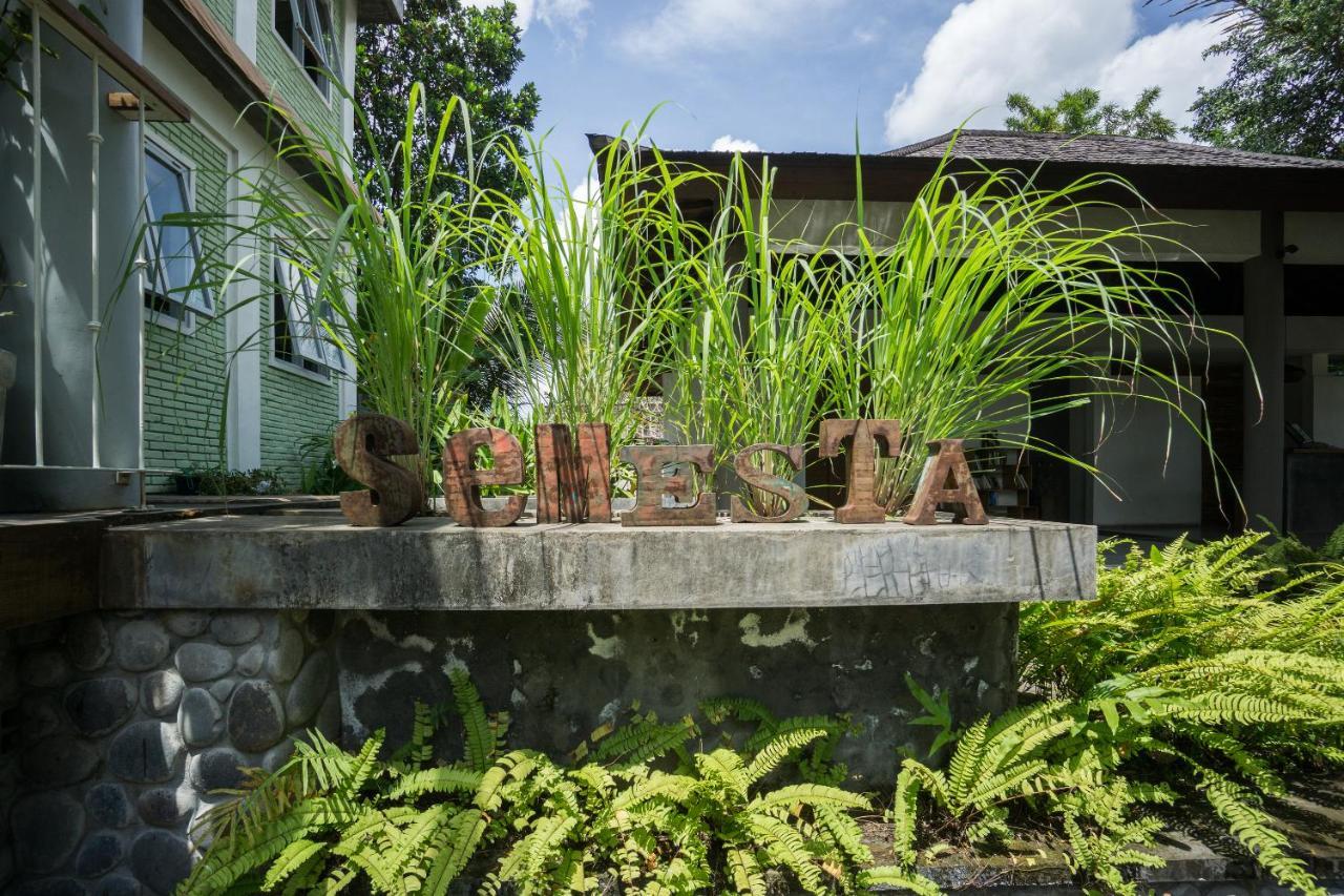 Tegal Sari Accommodation Ubud Kültér fotó